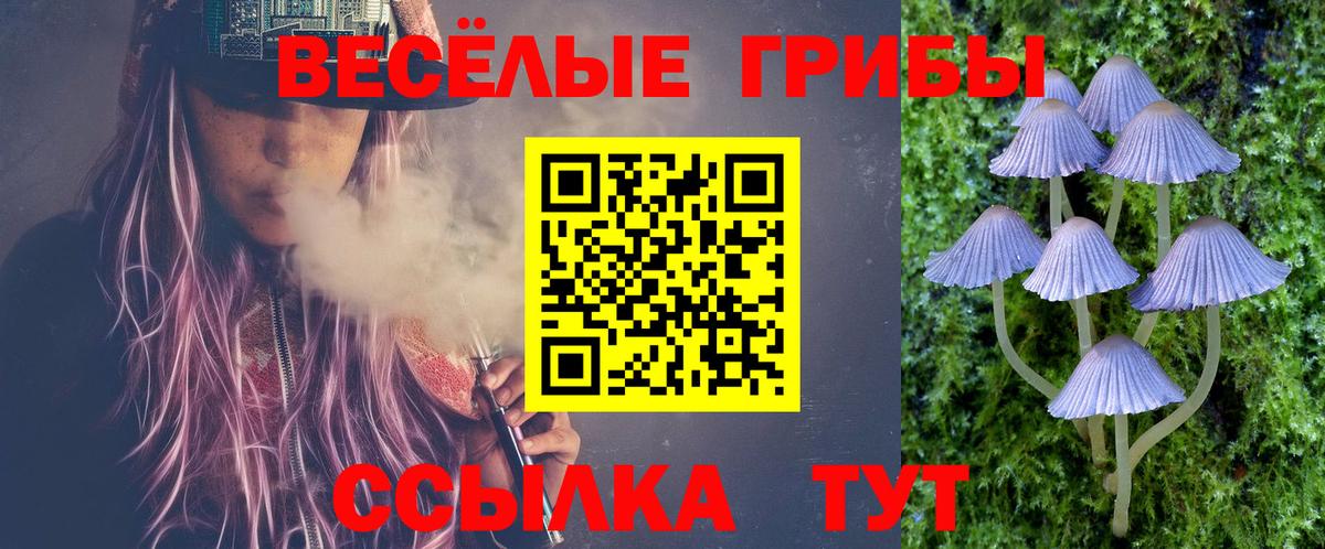 Галлюциногенные грибы ЛСД Чистополь