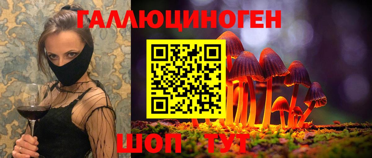 Галлюциногенные грибы Cubensis  что такое   Галлюциногенные грибы MAGIC MUSHROOMS  Чистополь  Вход с VPN 